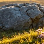 ciekawostki o kamieniach