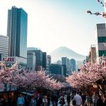 ciekawostki o tokio